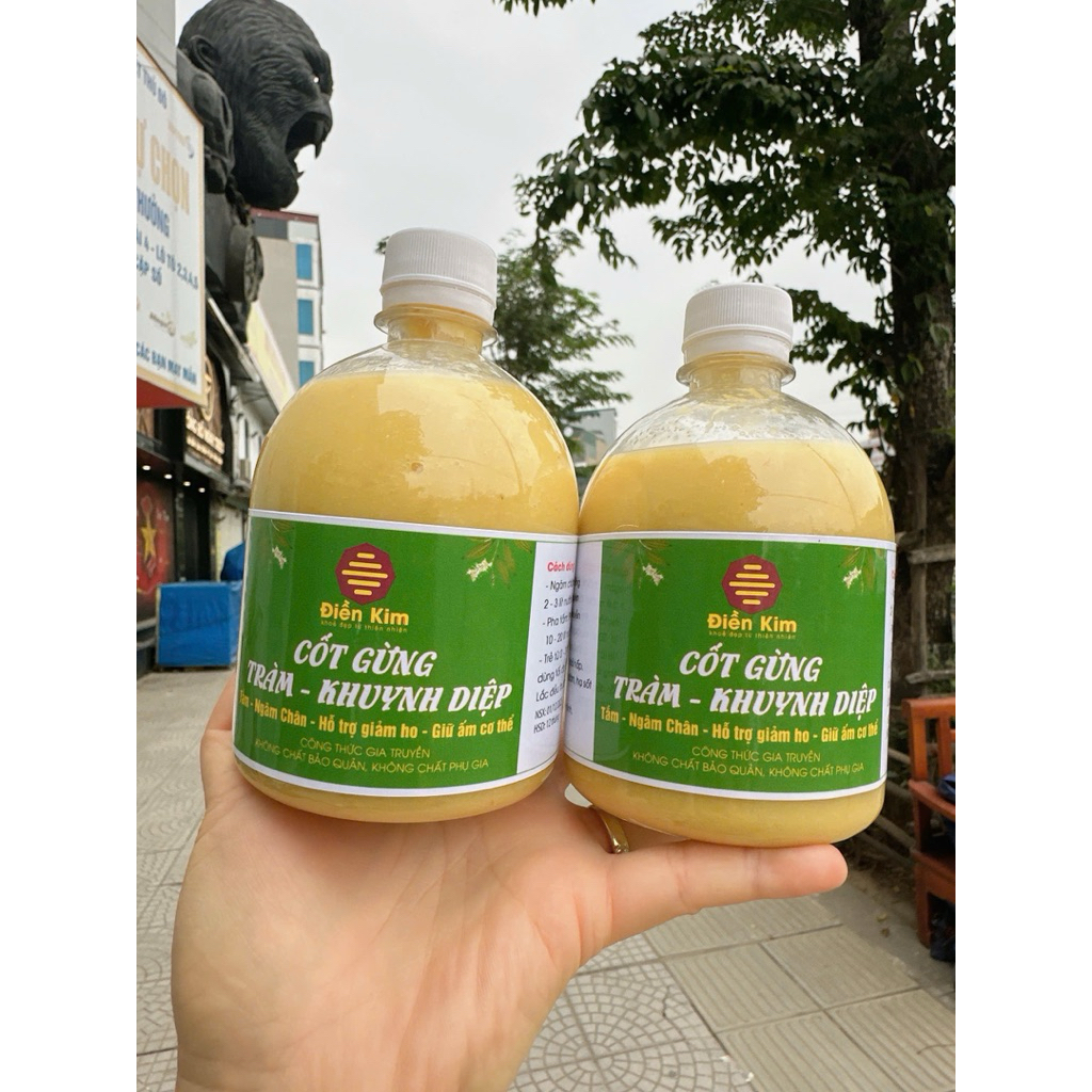 Cốt Gừng Tràm Khuynh Diệp Điềm Kim Chính Hãng LOẠI XỊN 500ml Pha Tắm, Ngâm Chân, Giữ ấm