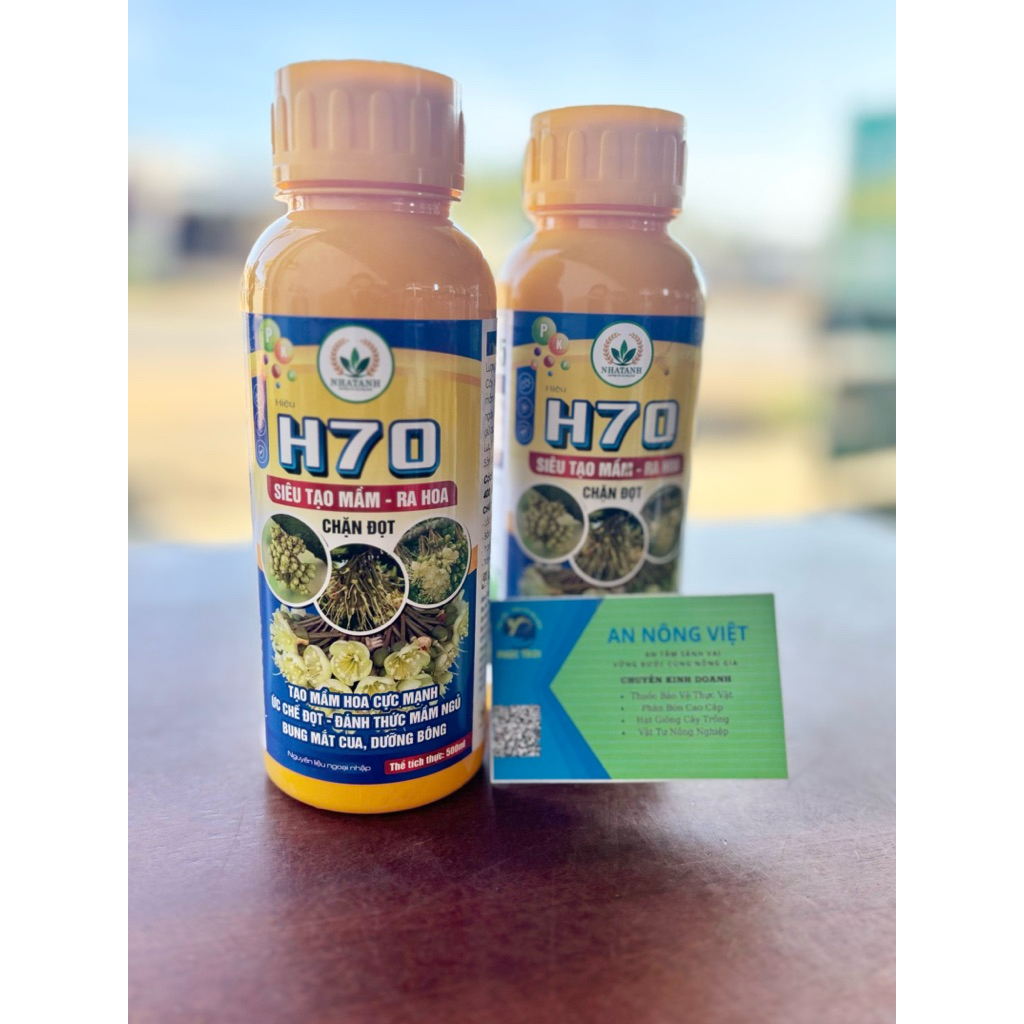 PHÂN BÓN LÁ PK SAO NÔNG 70-5 (H70) – SIÊU TẠO MẦM, CHẶN ĐỌT CỰC MẠNH