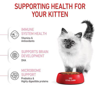 Thức Ăn Hạt Royal Canin KITTEN 10KG-13KG