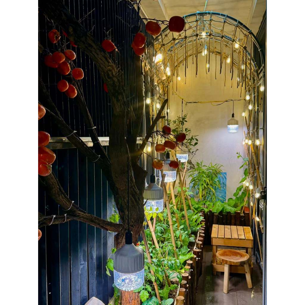 Đèn led trồng cây Rạng Đông 50W WBU ,quang hợp trong nhà, kích thích tăng trưởng model