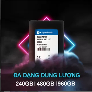 SSD Dynabook AE100 SATA III 2.5” 120GB–960GB, Đọc 550MB/s, Bảo Hành 3 Năm | BigBuy360 - bigbuy360.vn