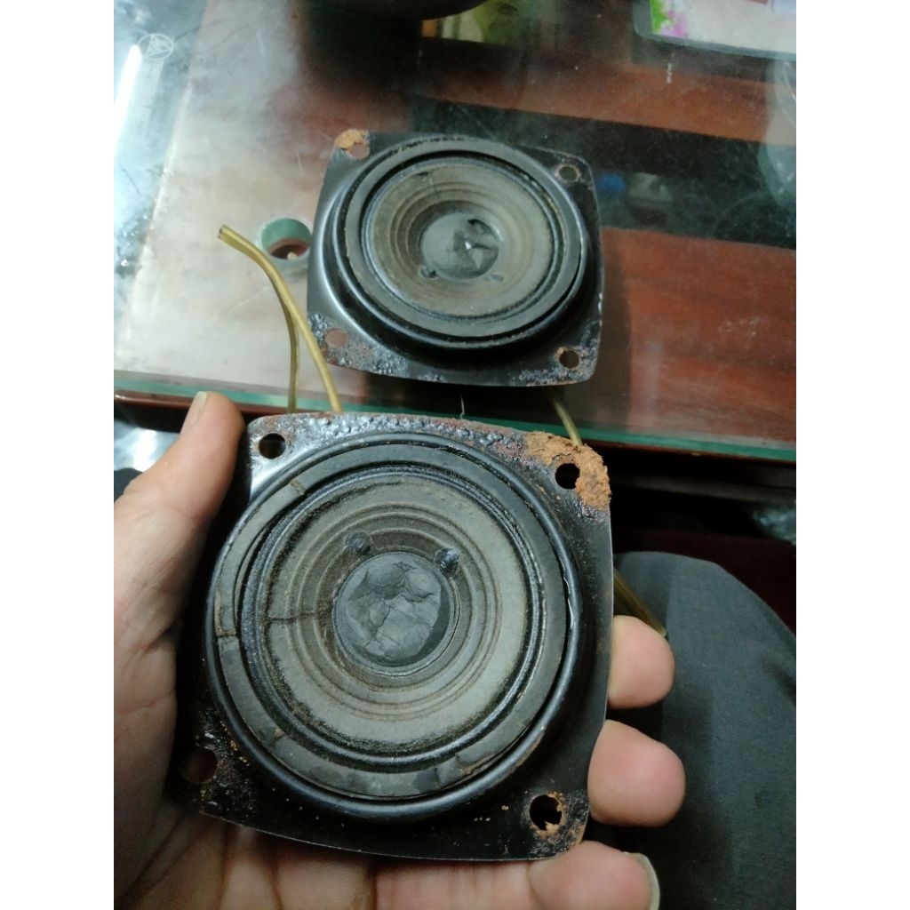 loa pioneer trung tép