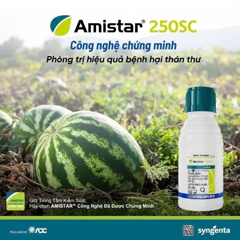 Amistar® 250SC Chính hãng SYNGENTA Chai 100ml - Thế Hệ Mới Cho Cây Trồng