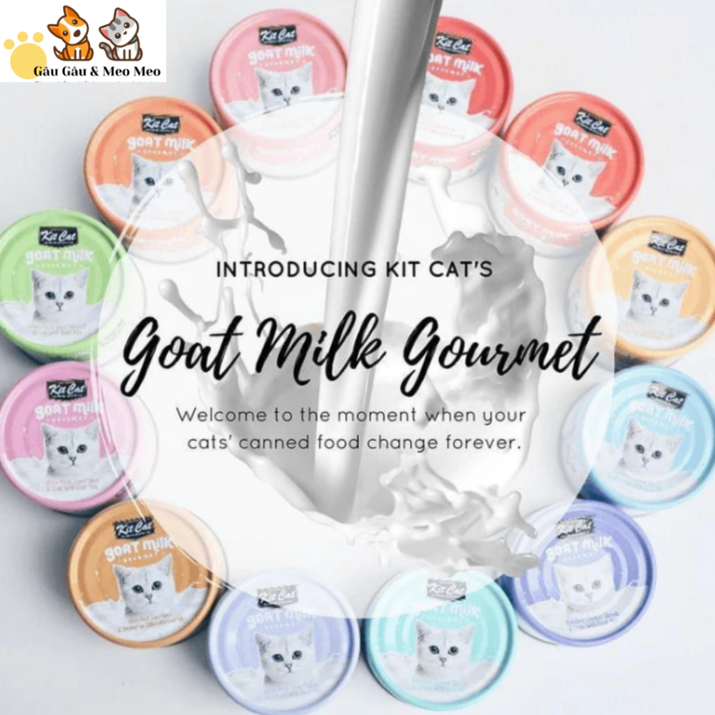 Kitcat goat milk thức ăn mèo