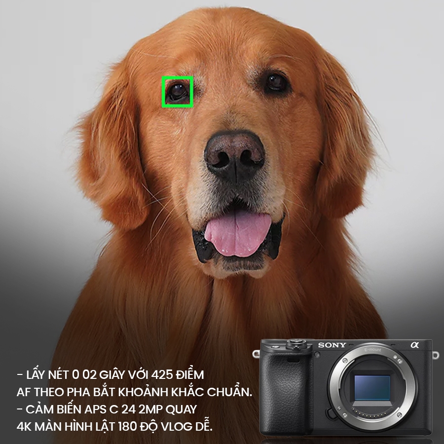 Máy ảnh Sony Alpha a6400 E-mount APS-C 24.2MP, lấy nét 0.02s, quay 4K, màn hình lật 180° | BigBuy360 - bigbuy360.vn