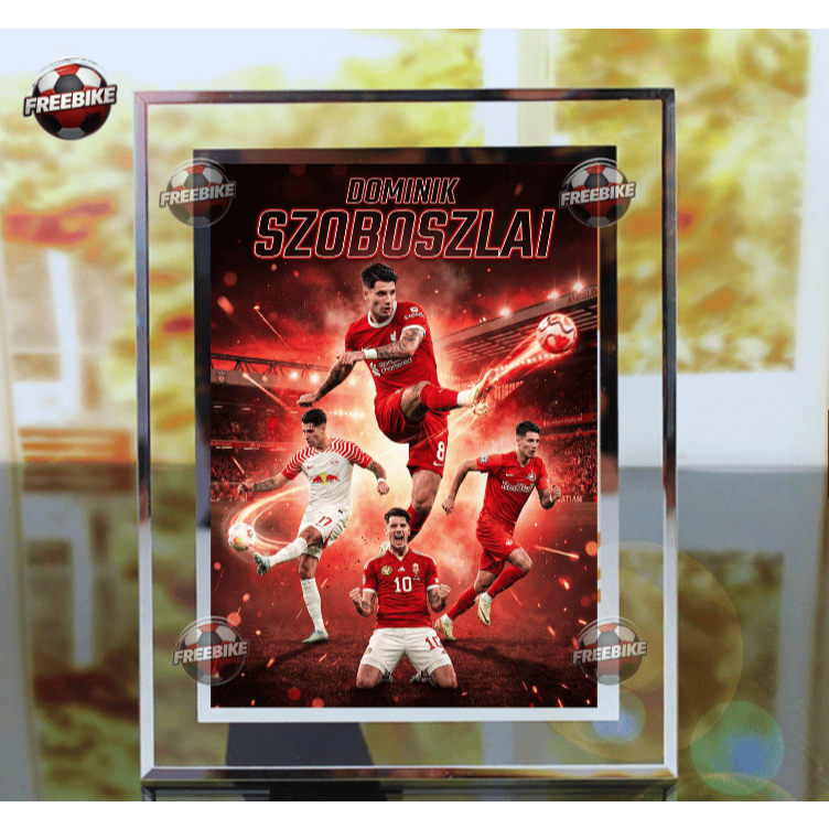 KHUNG POSTER DOMINIK SZOBOSZLAI BẰNG KÍNH PHA LÊ CAO CẤP MẪU 2