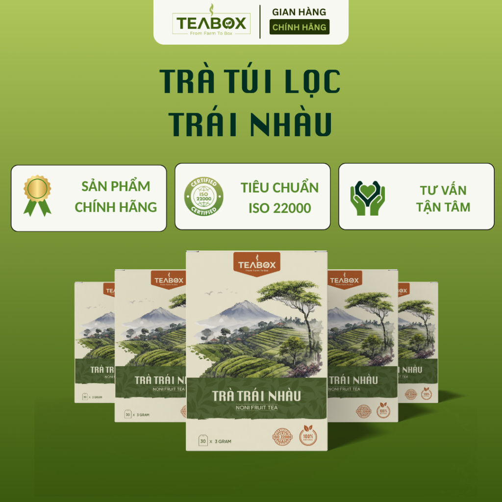 [COMBO 5 HỘP] Trà Trái Nhàu TEABOX Hộp 30 Túi Lọc Tem Chỉ x 3g Tiêu Chuẩn ISO 22000