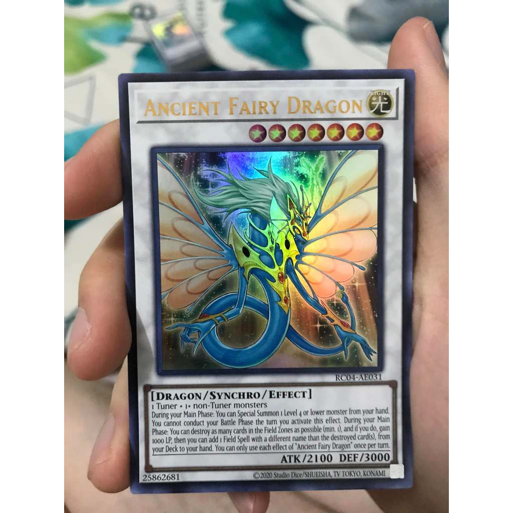 ancient fairy dragon