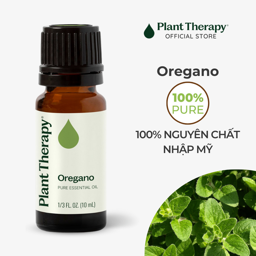 Tinh dầu thiên nhiên Oregano Plant Therapy - Pure essential oil 10mL