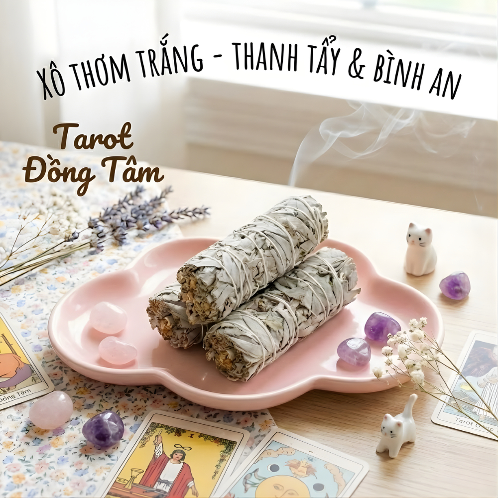 Xô thơm white sage thanh tẩy không gian xô thơm trắng, lá xô thơm thanh tẩy năng lượng Tarot Đồng Tâ
