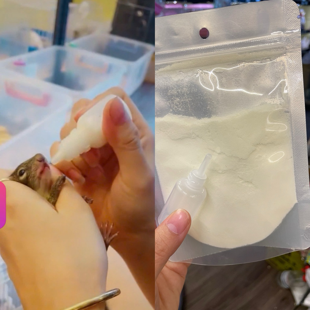 Bột sữa dê tặng kèm bình đút sữa cho hamster,sóc,nhím,...