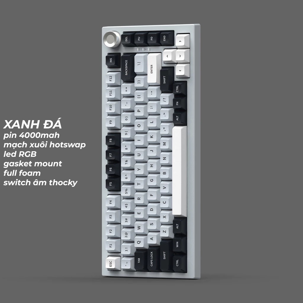 [Sẵn Giao] Bàn Phím Cơ Monka K81 3 Modes Led RGB Hotswap Mạch Xuôi Full Foam - EA Gear | BigBuy360 - bigbuy360.vn