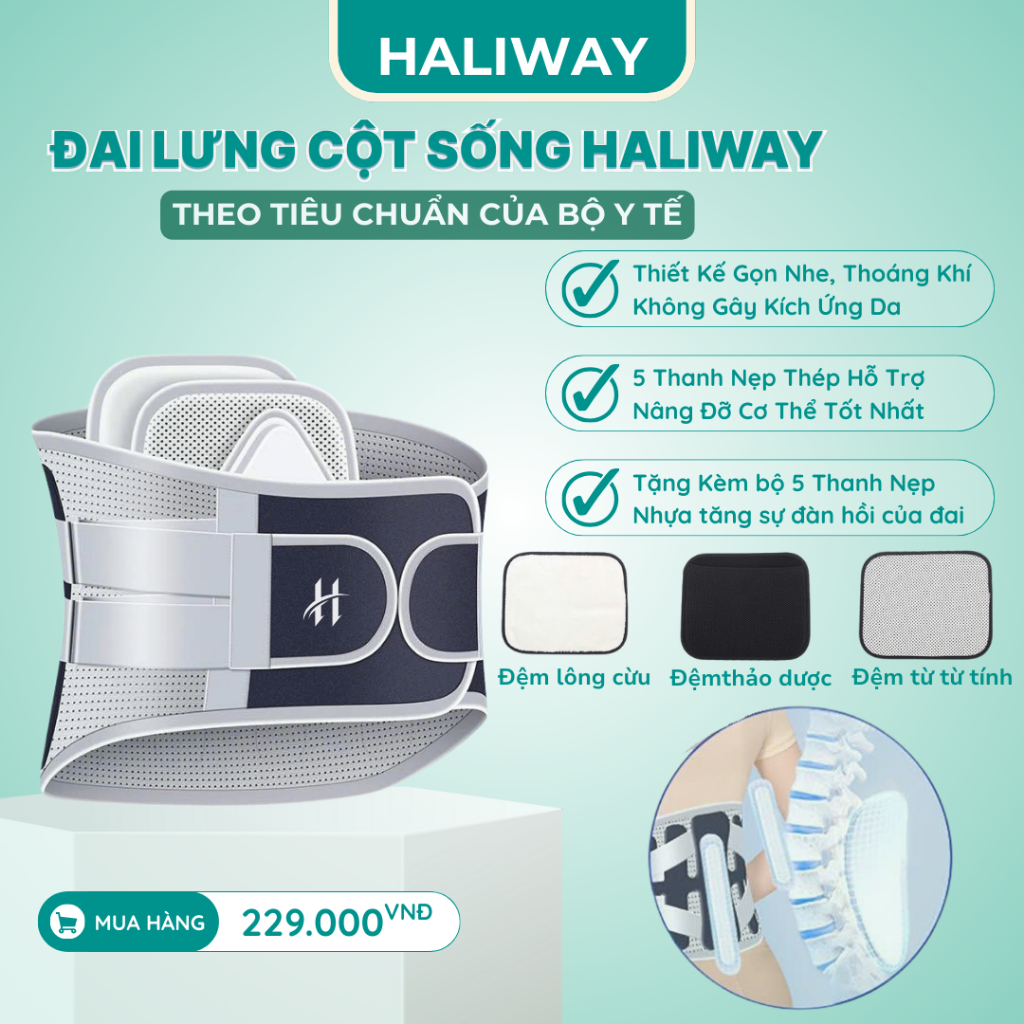 Đai Lưng Cột Sống, Thoát Vị, Thoái hóa, Đau Lưng Thương Hiệu HALIWAY ĐTV4