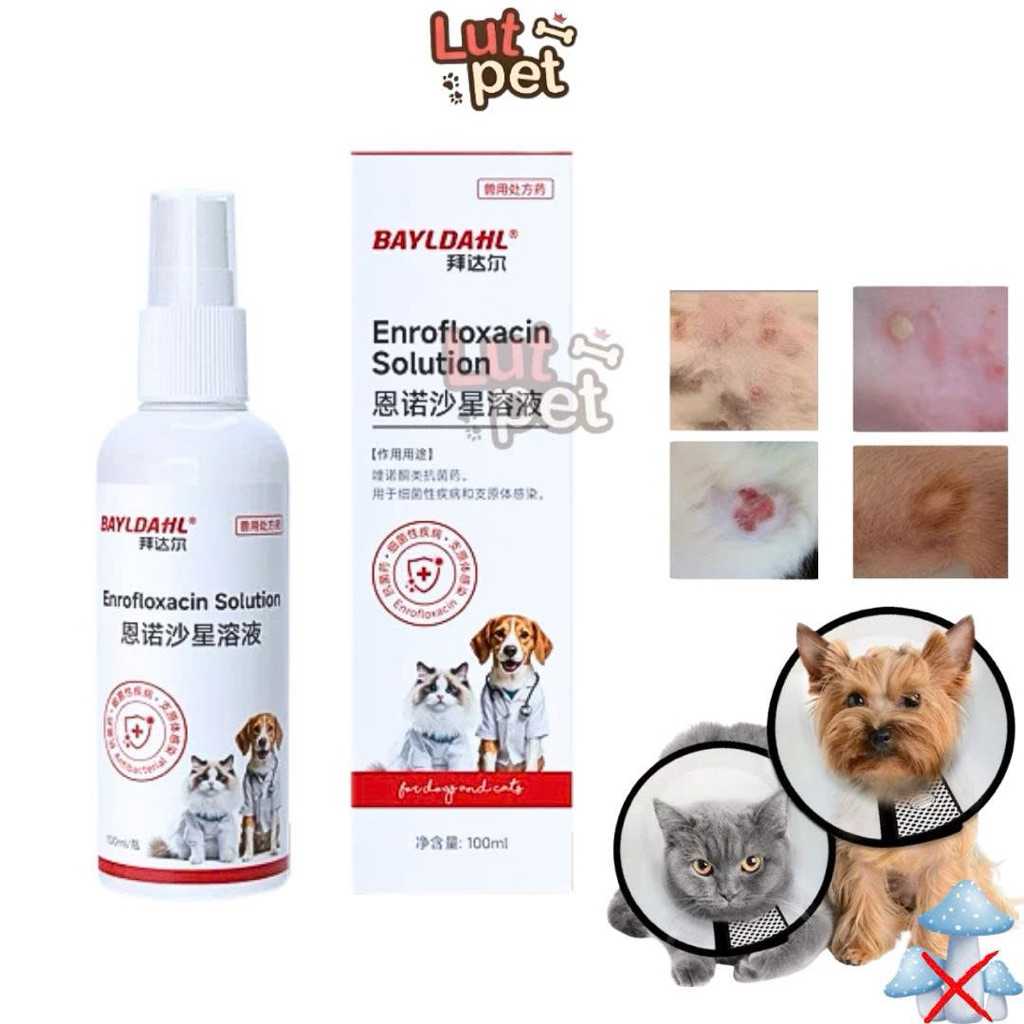 Xịt nấm cho chó mèo, viêm da, mẩn ngứa, ghẻ, bệnh ngoài da cho thú cưng (100ml) - lutpet