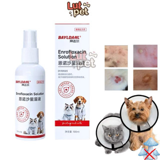 Xịt nấm cho chó mèo, viêm da, mẩn ngứa, ghẻ, bệnh ngoài da cho thú cưng (100ml) - lutpet