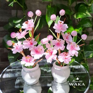 Hoa Đất Sét Mini - Mai - Đào Tết Mini 02
