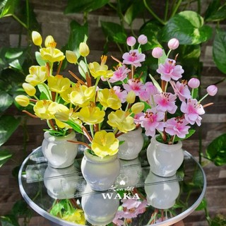 Hoa Đất Sét Mini - Mai - Đào Tết Mini 02