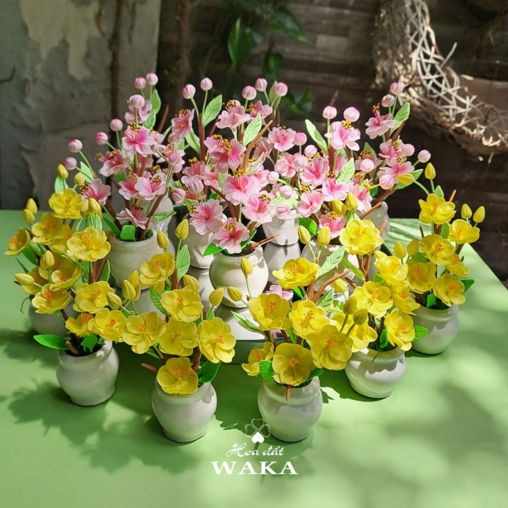 Hoa Đất Sét Mini - Mai - Đào Tết Mini 02
