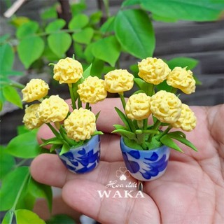 Set Tết-Mô Hình Chậu Cúc Vạn Thọ 1/12