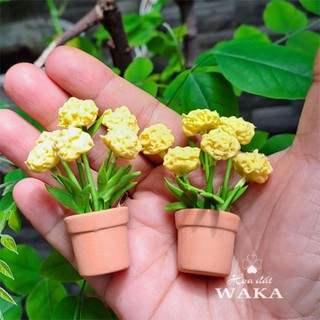 Set Tết-Mô Hình Chậu Cúc Vạn Thọ 1/12