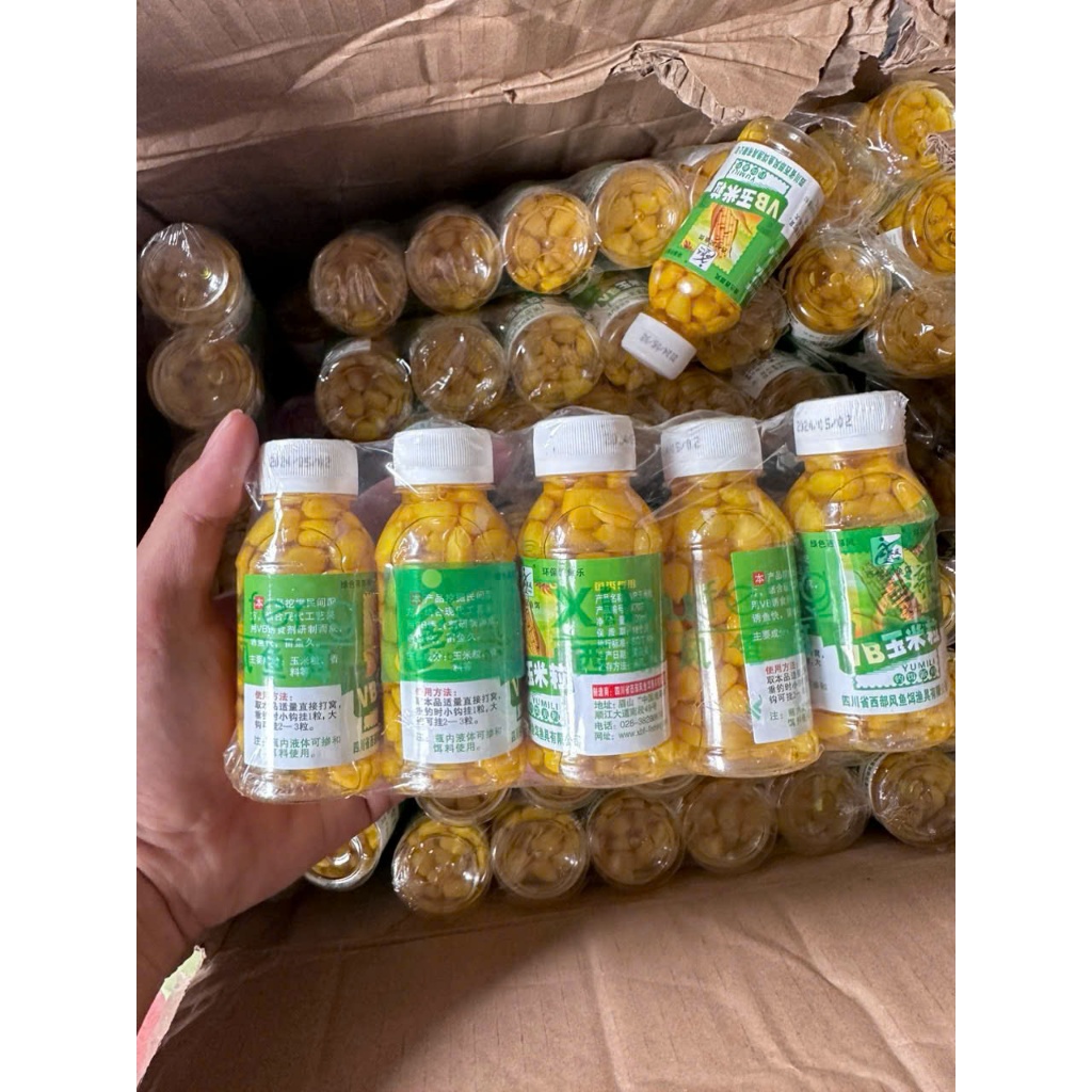 Hạt Ngô Ngâm Móc Lưỡi Câu Cá, Ngô Ngâm Sẵn Câu Cá, Ngô Ngâm Câu Chép, Trắm Cỏ