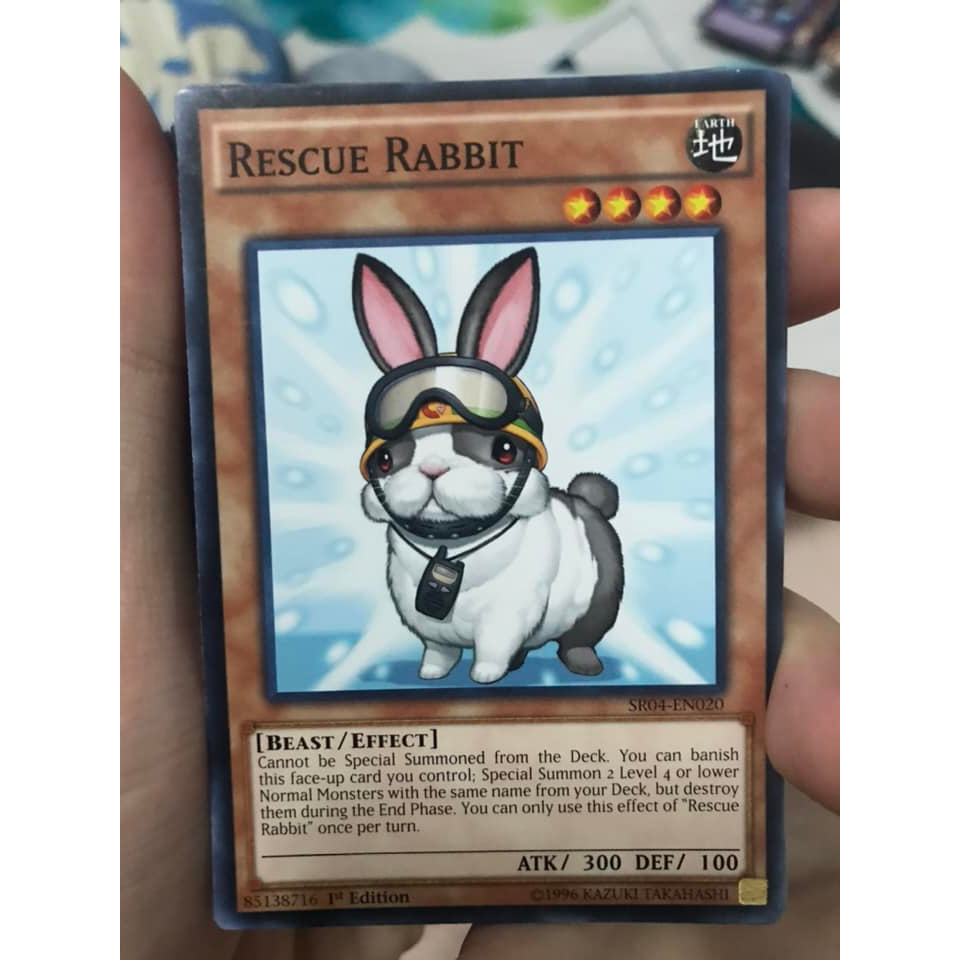 rescue rabbit