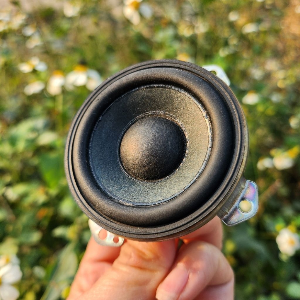 Loa toàn dải 2 inch Sony XB12