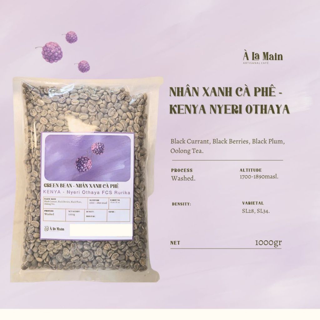 Cà phê nhân xanh Kenya Nyeri Othaya FSC 500gr/1000gr