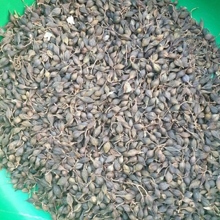 liên kiều 1kg