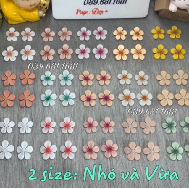 Hoa Bột 3D: Set 2 bông Hoa Mai trang trí móng nails