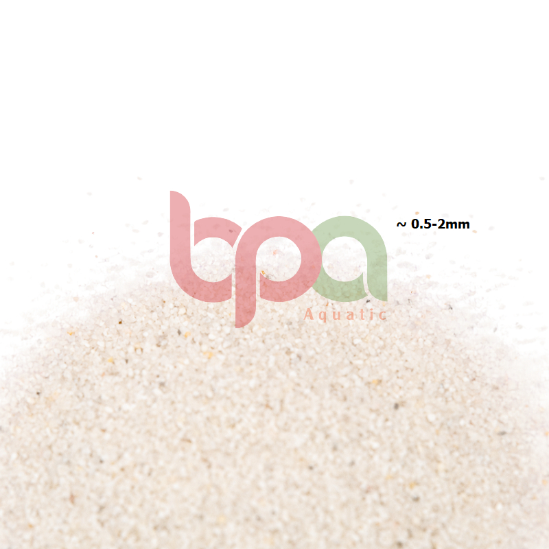 CÁT THẠCH ANH TRẮNG 5KG - TRẢI NỀN ĐƯỜNG ĐI TRANG TRÍ BỂ CÁ HỒ THỦY SINH CÁ BIỂN