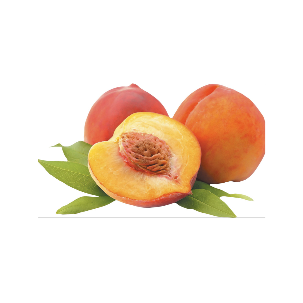 (High Grade) Cà phê hạt Arabica đặc sản Ethiopia Twakok Natural | Rang sáng | 1857 Coffee Lab & Roas