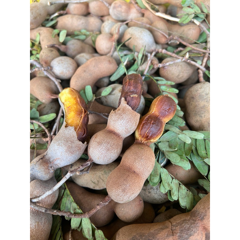 1kí me thái loại nhỏ , có dốt có xanh lộn xộn , chua chua ngọt ngọt (không giao miền bắc )