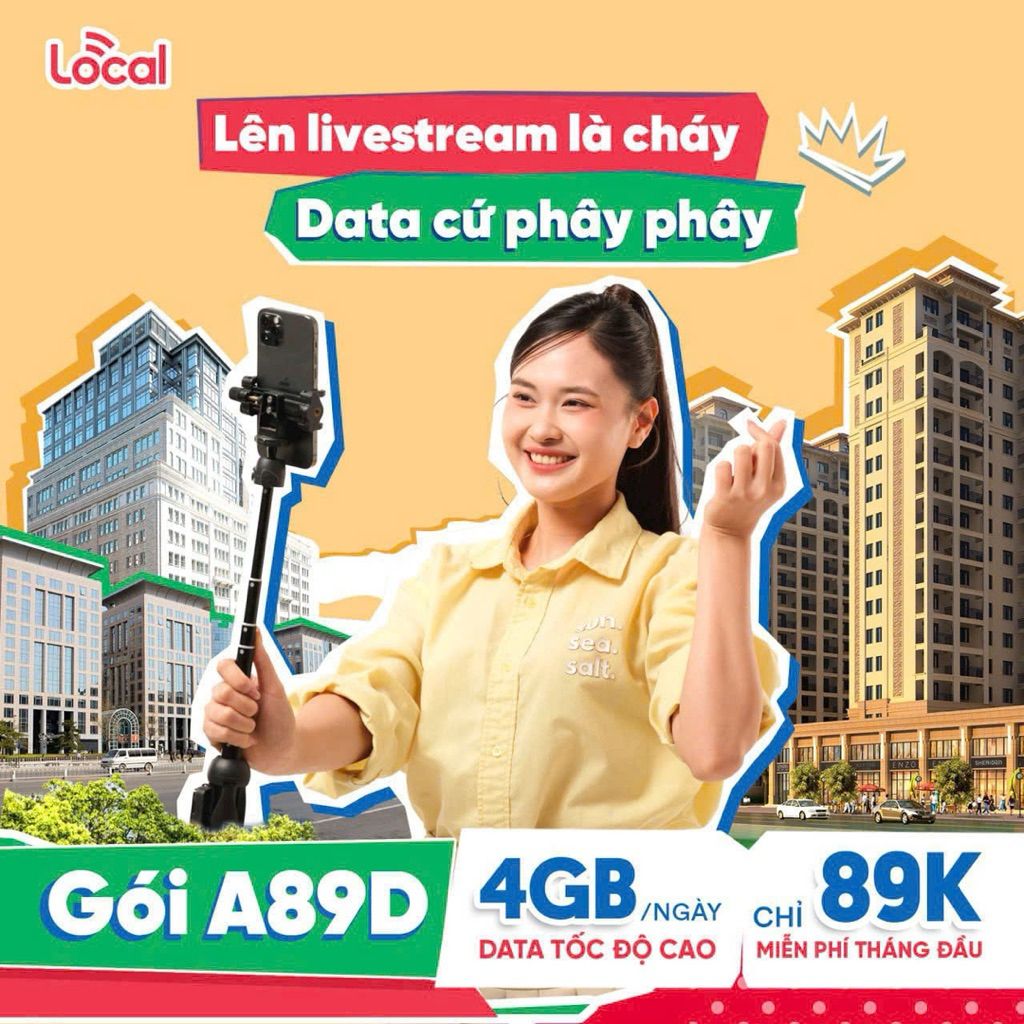 Sim local vào mạng và thoại