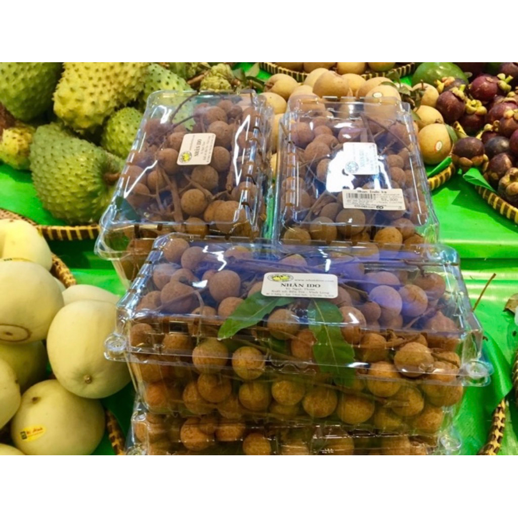 330 Hộp nhựa đựng trái cây 1kg P1000A giá 2550d ( cherry nho)