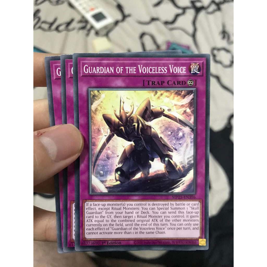 guardian of the voiceless voice