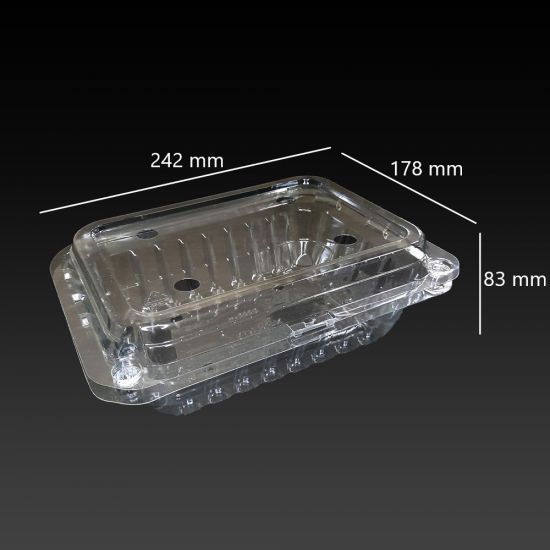 280 hộp nhựa đựng nho chùm trái cây P1000C-2015