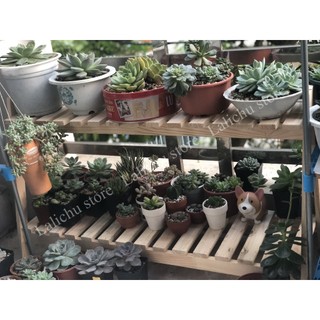 Kệ gỗ để đồ decor 2 tầng, kệ gỗ 2 ngăn