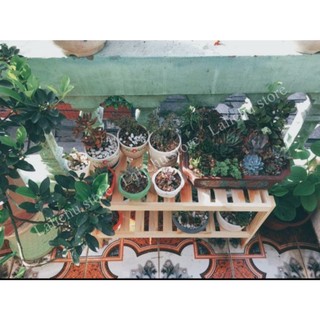 Kệ gỗ để đồ decor 2 tầng, kệ gỗ 2 ngăn