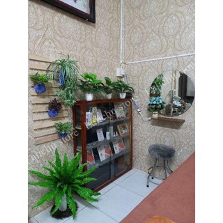 Kệ Gỗ Treo Tường Để Cây Cảnh, Kệ Treo Chậu Cây Trang Trí Ban Công