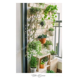 Kệ Gỗ Treo Tường Để Cây Cảnh, Kệ Treo Chậu Cây Trang Trí Ban Công