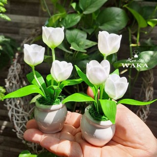 Hoa Đất Sét Mini- Chậu Tulip Mini 12cm