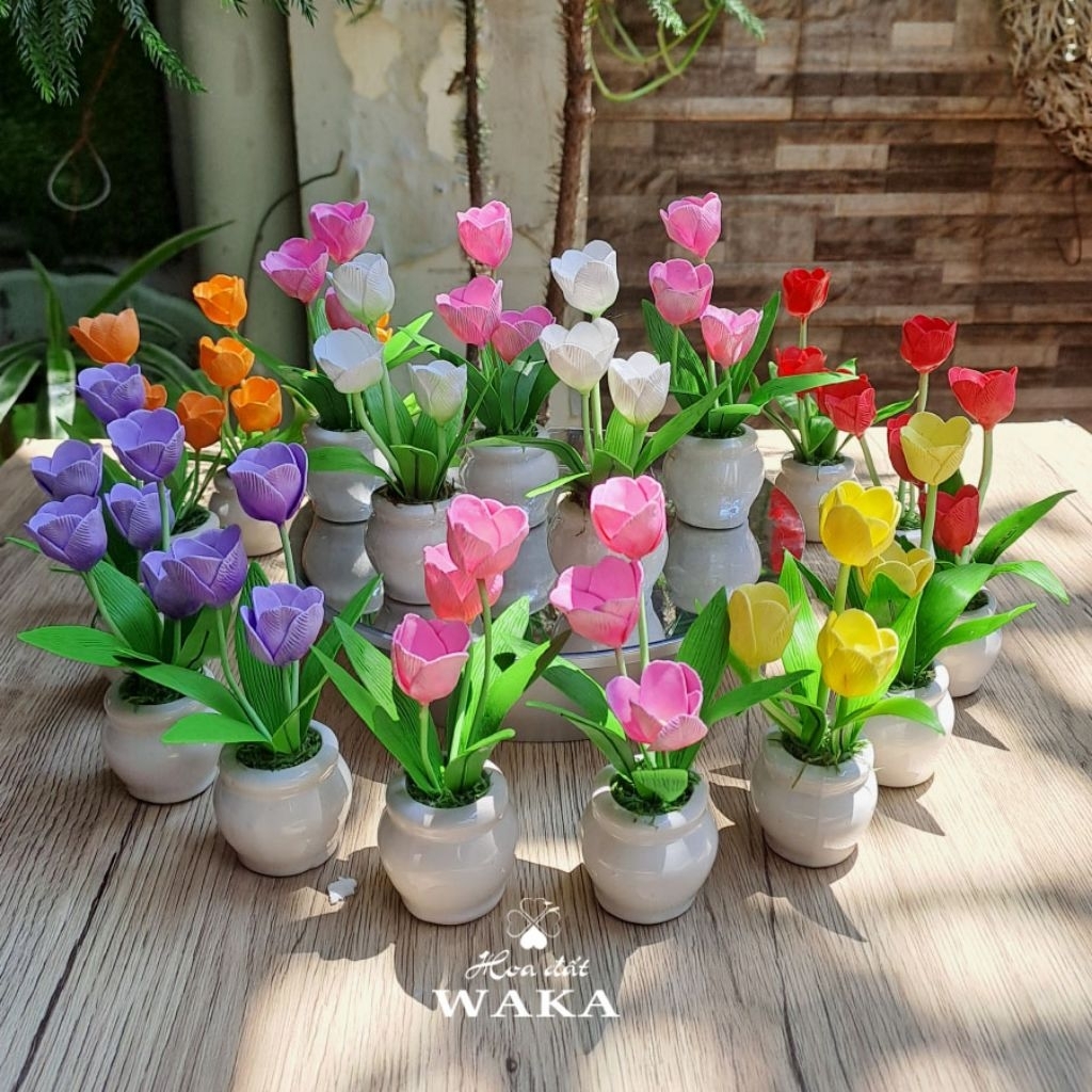 Hoa Đất Sét Mini- Chậu Tulip Mini 12cm