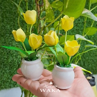 Hoa Đất Sét Mini- Chậu Tulip Mini 12cm