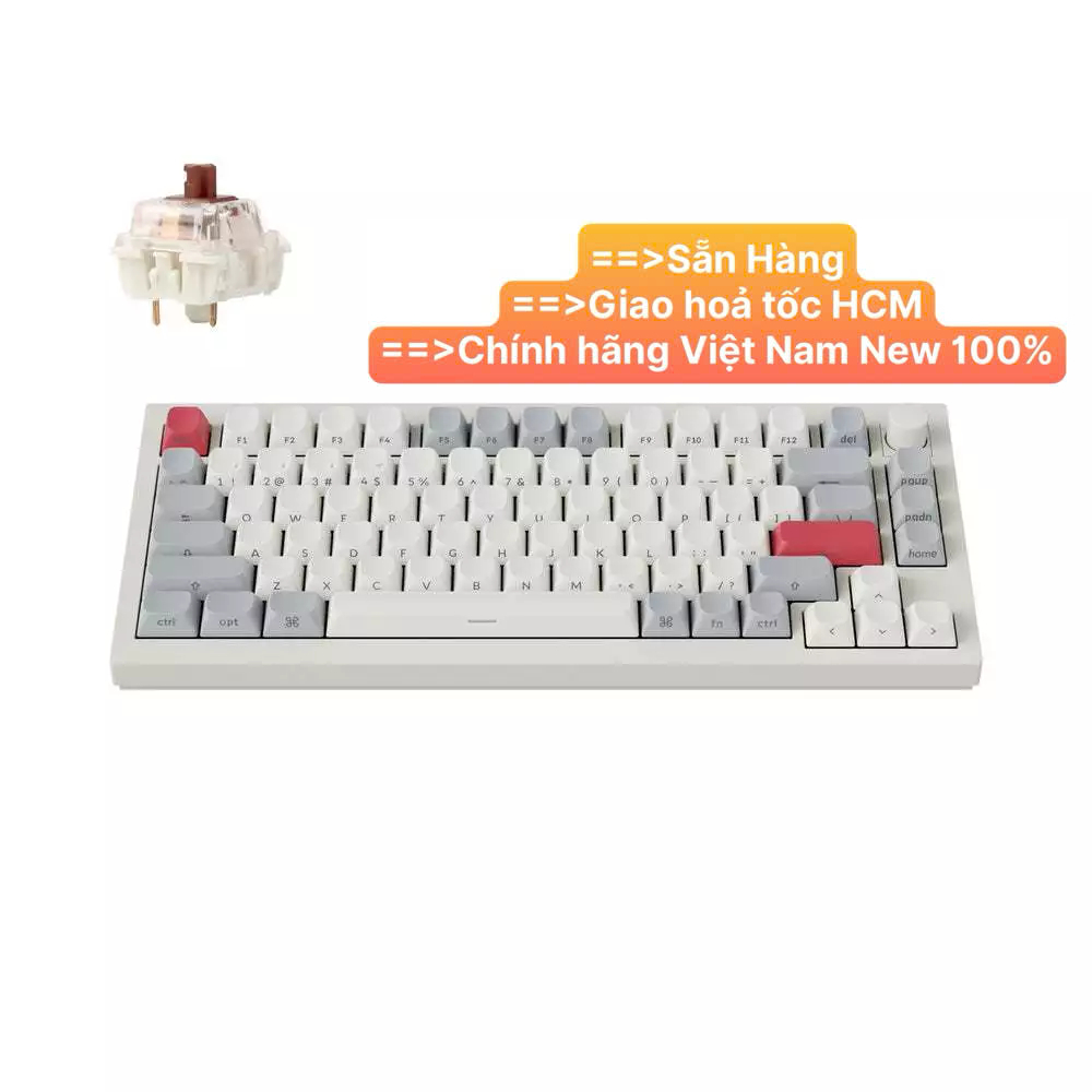 Bàn phím vi tính Keychron Q1M-P3S Q1 Max Swappable RGB Brown Switch Side-Printed Keycaps Knob Versio