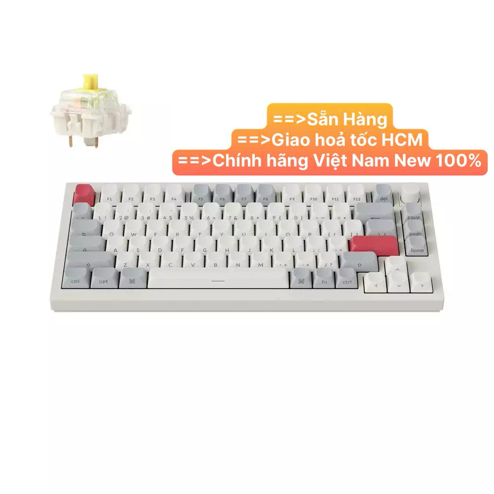 Bàn phím vi tính Keychron Q1M-P4S Q1 Max Swappable RGB Banana Switch Side-Printed Keycaps Knob Versi
