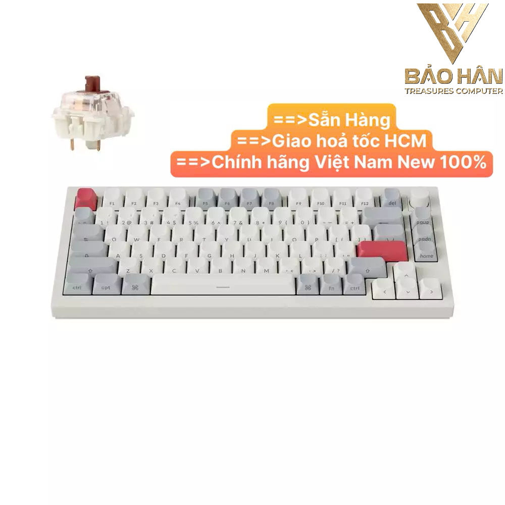 Bàn phím vi tính Keychron Q1M-P3S Q1 Max Swappable RGB Brown Switch Side-Printed Keycaps Knob Versio