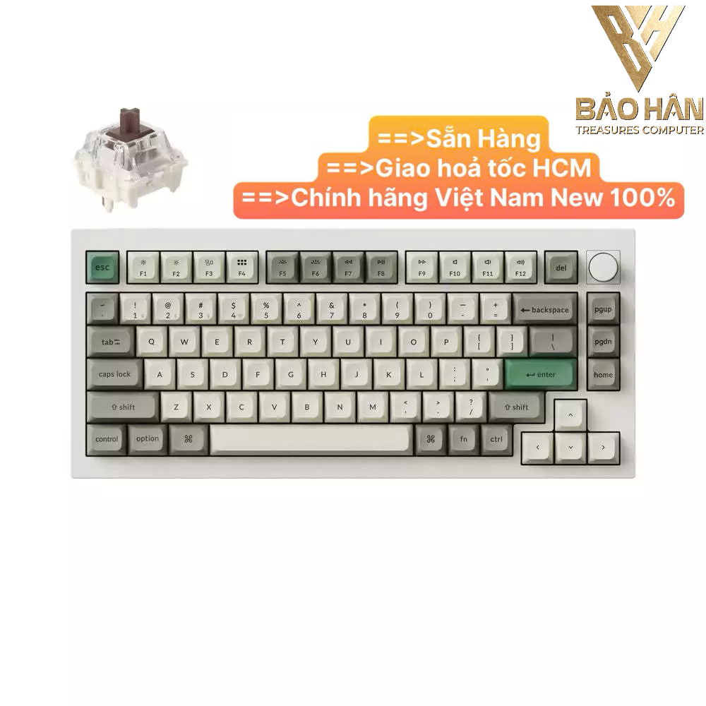 Bàn phím vi tính Keychron Q1M-P3 Q1 Max Swappable RGB Backlight Brown Switch Knob Version - White - 