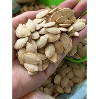 Hạt Bí rang muối LOẠI LỚN Gia Long 250gr/ 500gr/ 1 ký