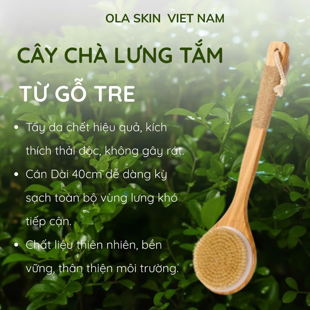 Cây Chà Lưng, Dụng Cụ Cọ Kỳ Tắm, Chải Chà Khô Body Lông Tự Nhiên Tay Cầm Gỗ Tre Kháng Khuẩn